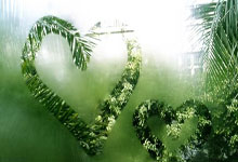 PG平台-中超赛场风云诡谲：胜负谜局，悬念丛生中的足球魅力