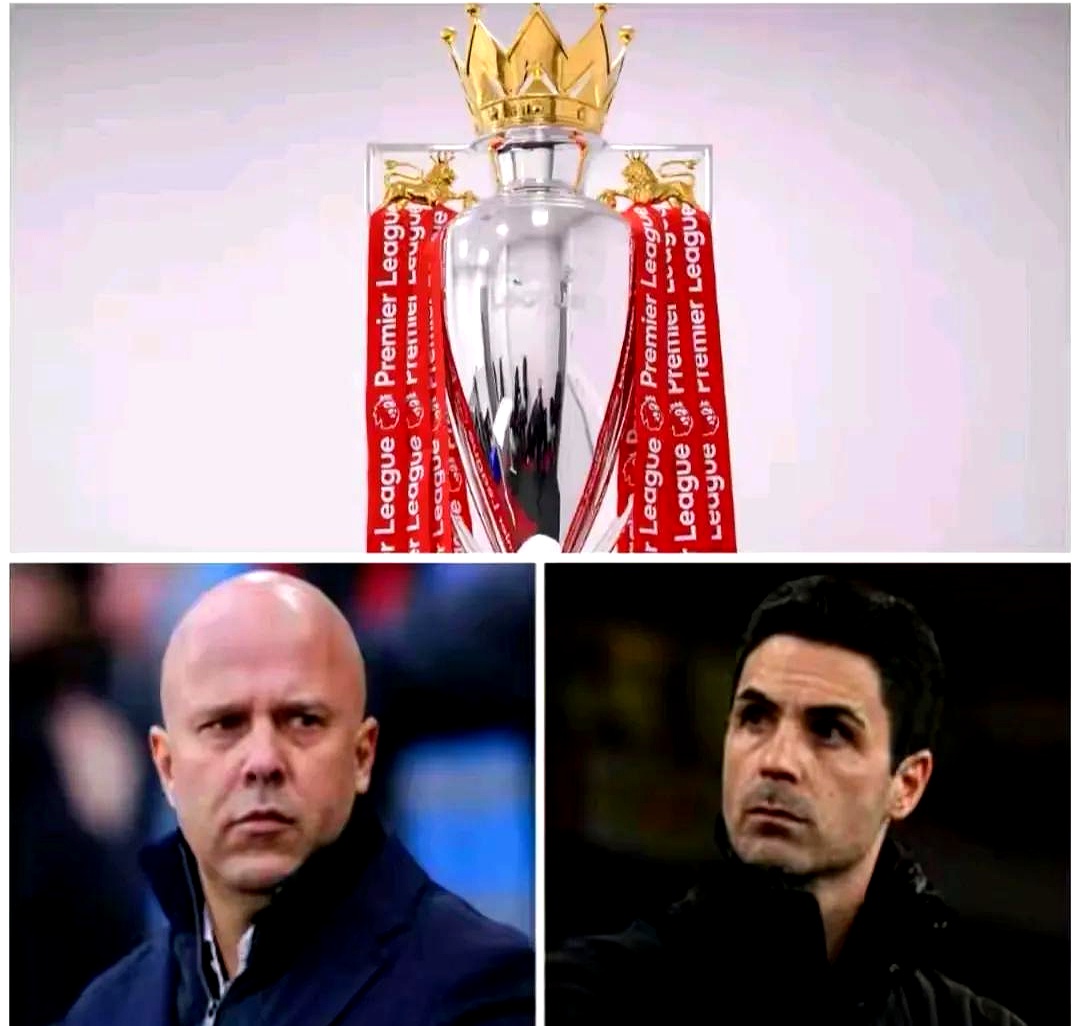 PG电子线上登入-包含盖尔主场取胜，保级前景明朗的词条