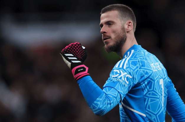 佛罗伦萨门将风波未平，或令球队失去稳定性