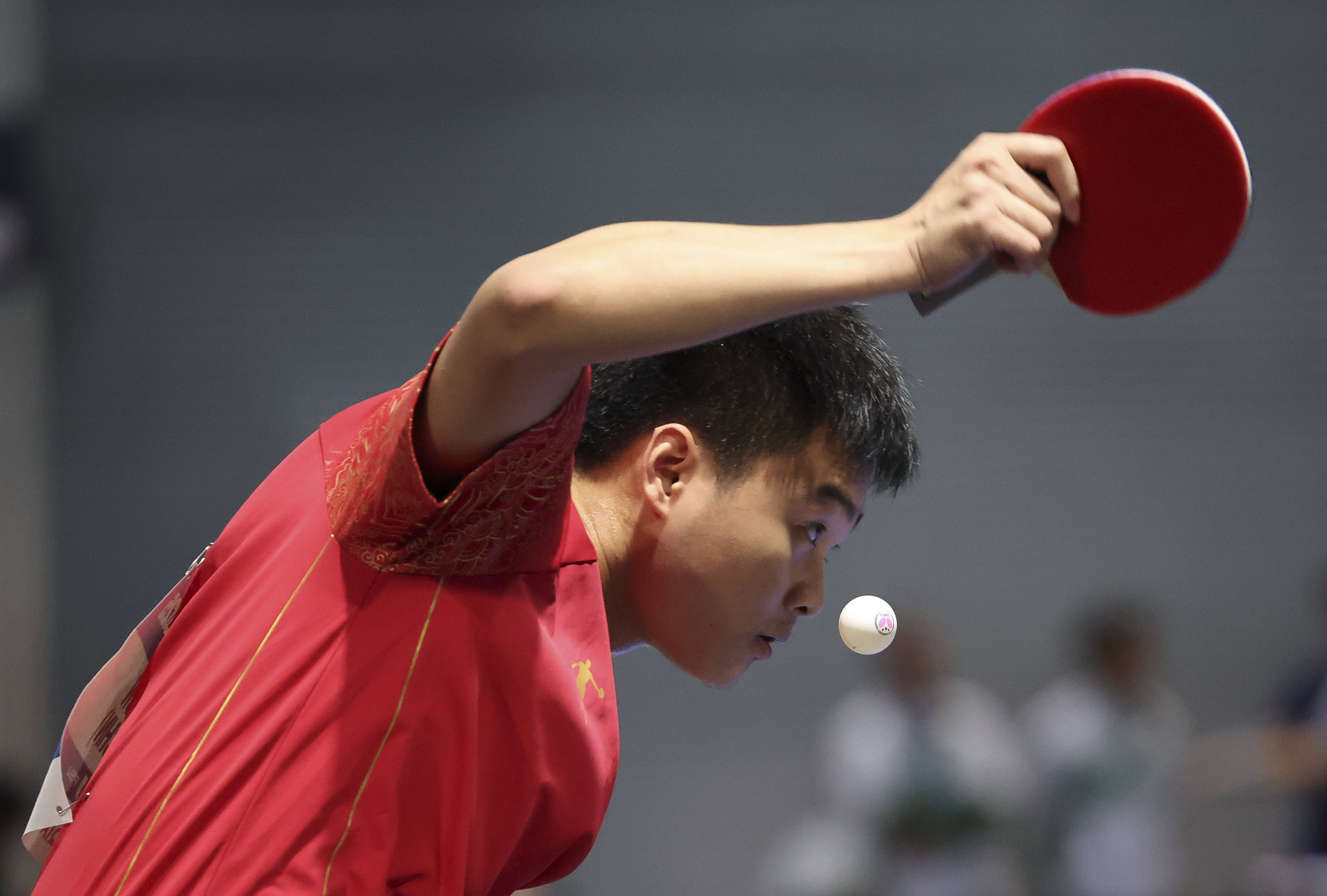 PG平台-比利时队士气高涨，将继续向前进发